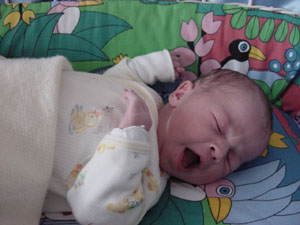 bassinet