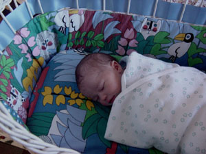 bassinet