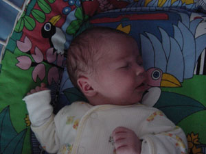 bassinet