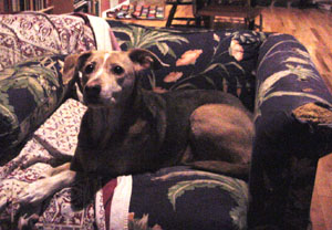 millie